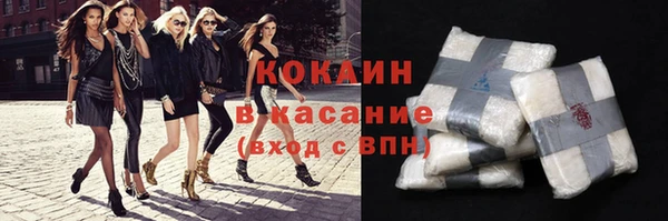 прущие грибы Инта