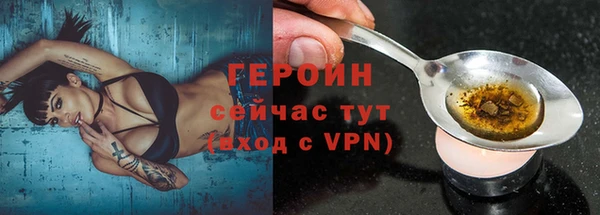 прущие грибы Инта