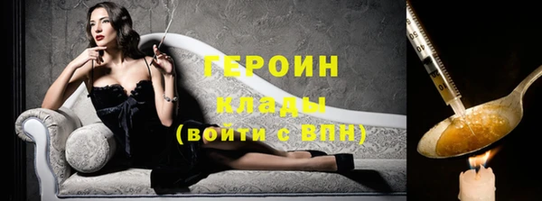 прущие грибы Инта