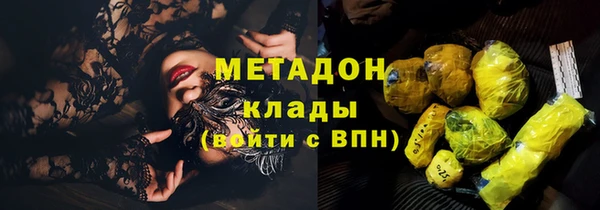 прущие грибы Инта