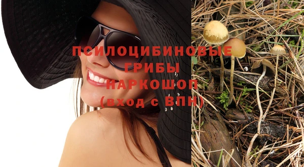 гашик Инсар