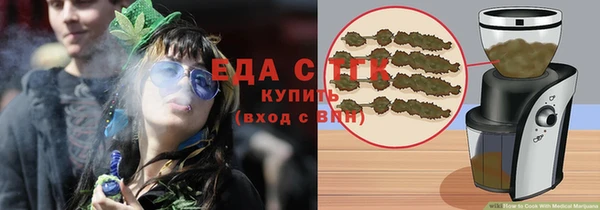 прущие грибы Инта