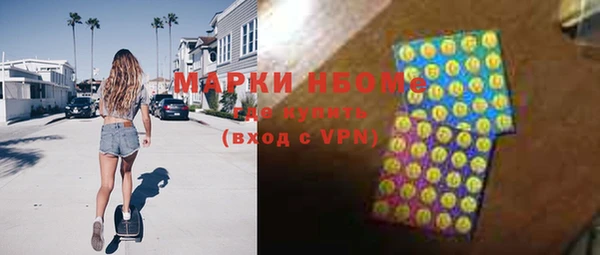 гашик Инсар