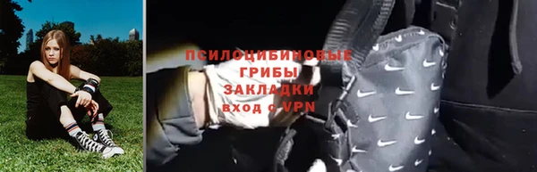 гашик Инсар