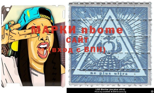 гашик Инсар