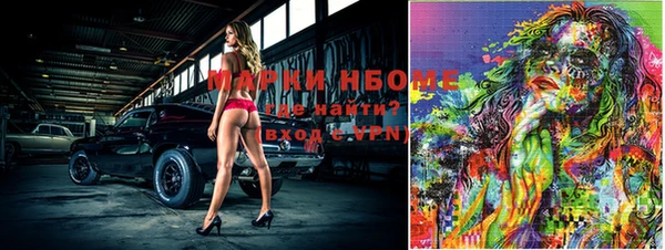 гашик Инсар