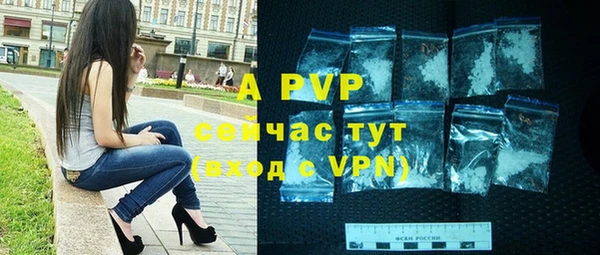 прущие грибы Инта