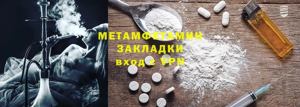 прущие грибы Инта