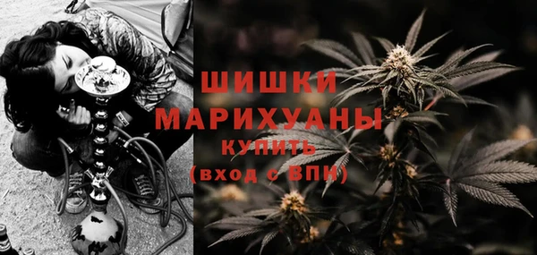гашик Инсар