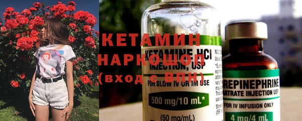 прущие грибы Инта