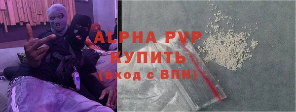 прущие грибы Инта