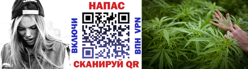 Бошки марихуана планчик  Купить  Закаменск 